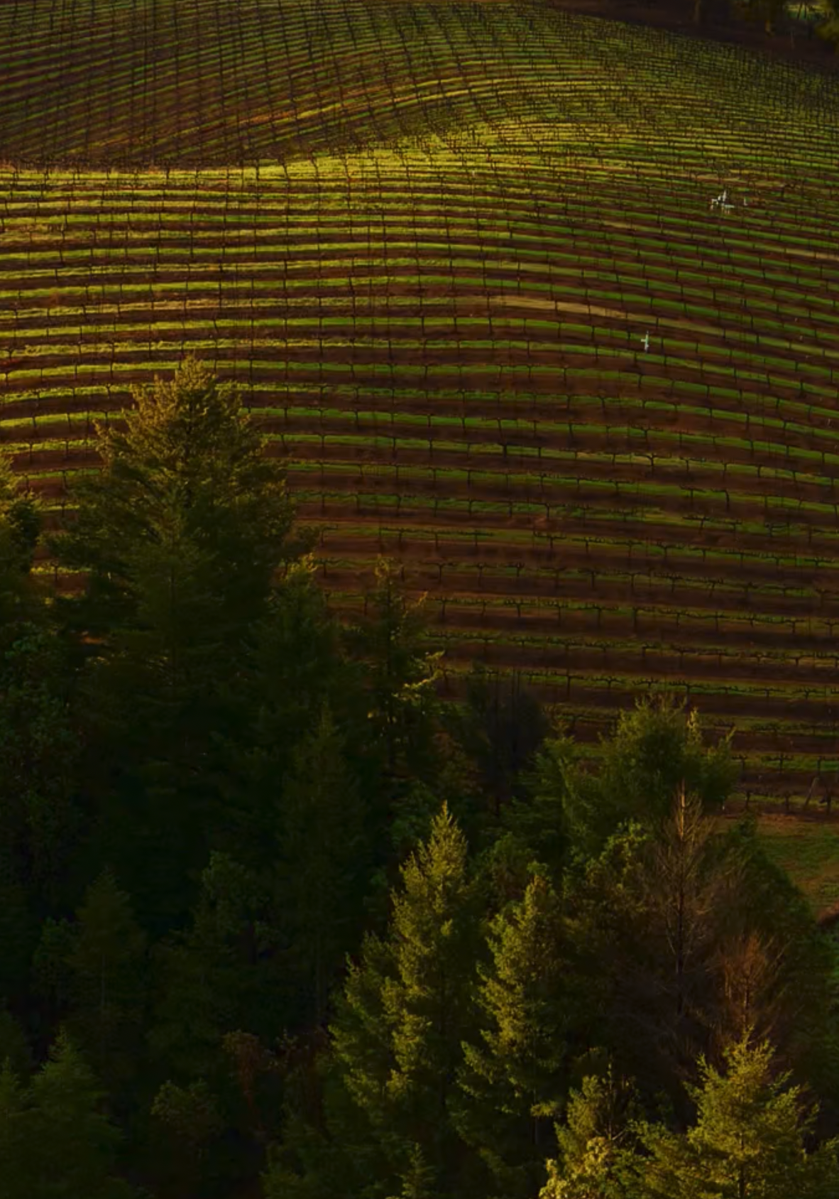 Task Ideas suggestion panel